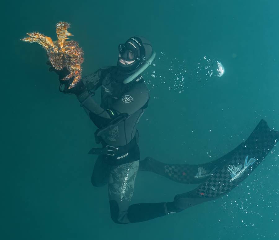 Freediver in action underwater during a dive